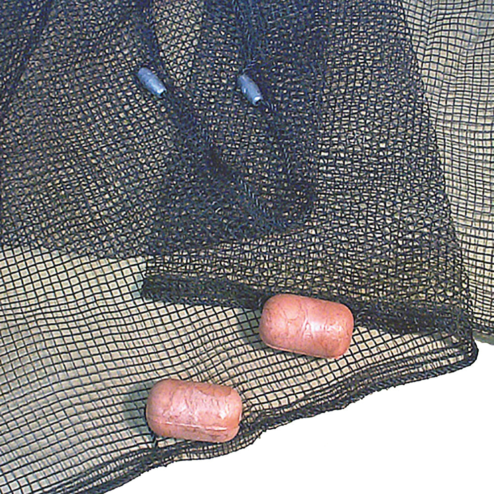 219493500.jpg