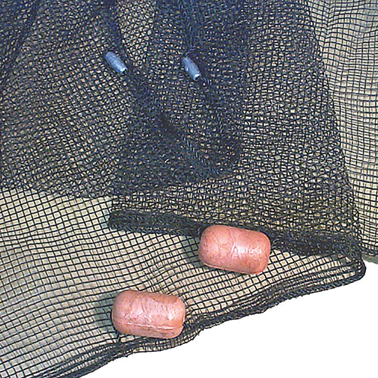 219493500.jpg