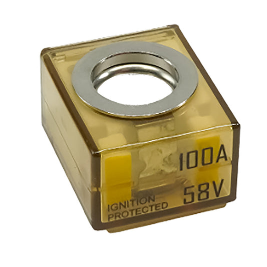 219488915.jpg