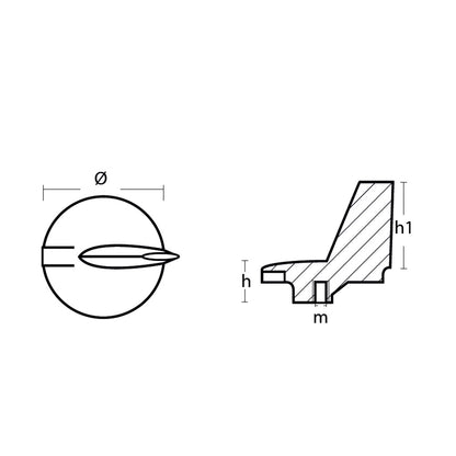 279743013.jpg