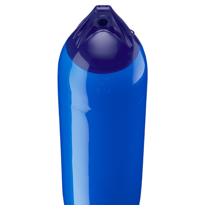 279744241.jpg